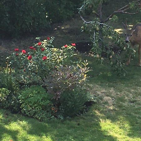 Lakeview Gardens B&B Peachland Dış mekan fotoğraf